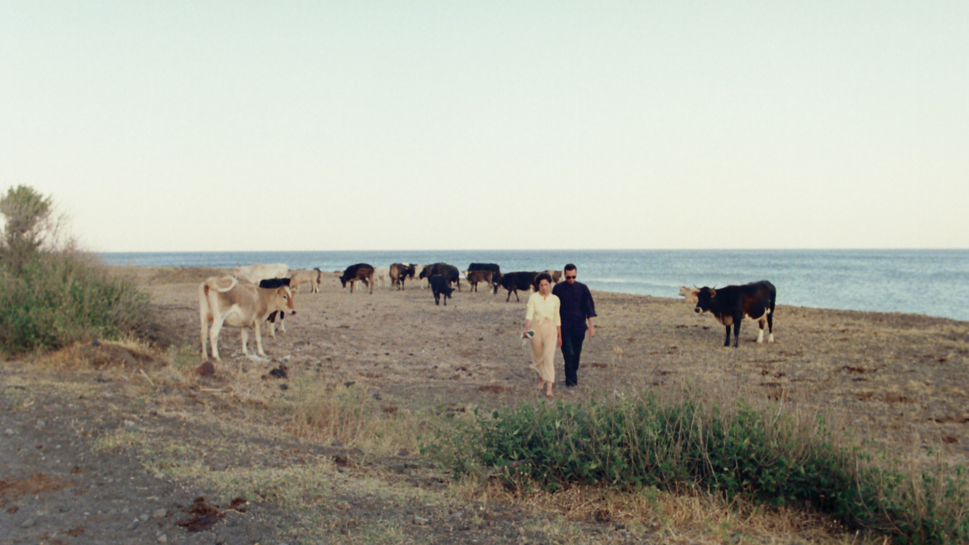 Yunanistan Sineması Günleri 1