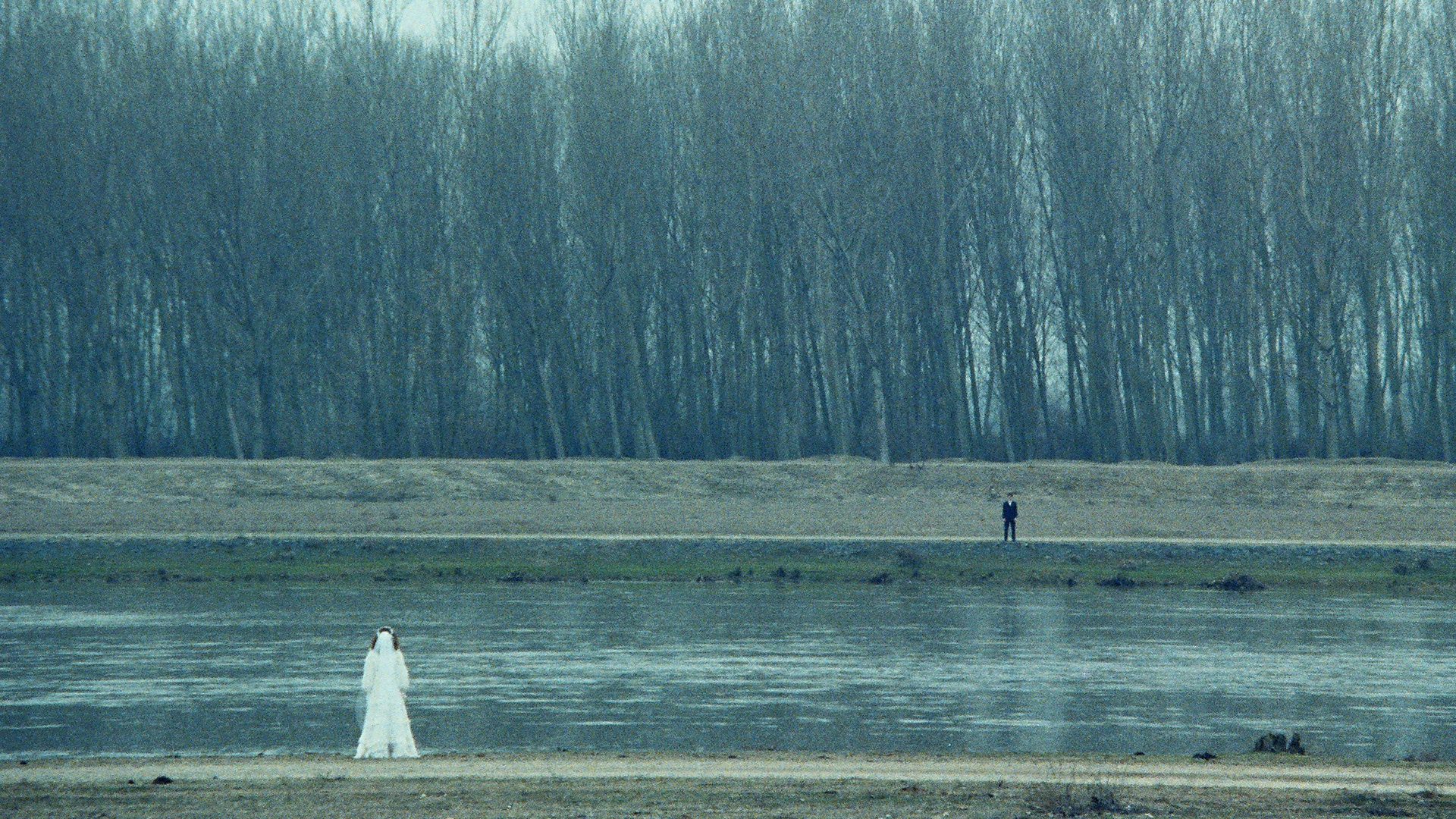 Leyleğin Araftaki Adımı  görsel 0