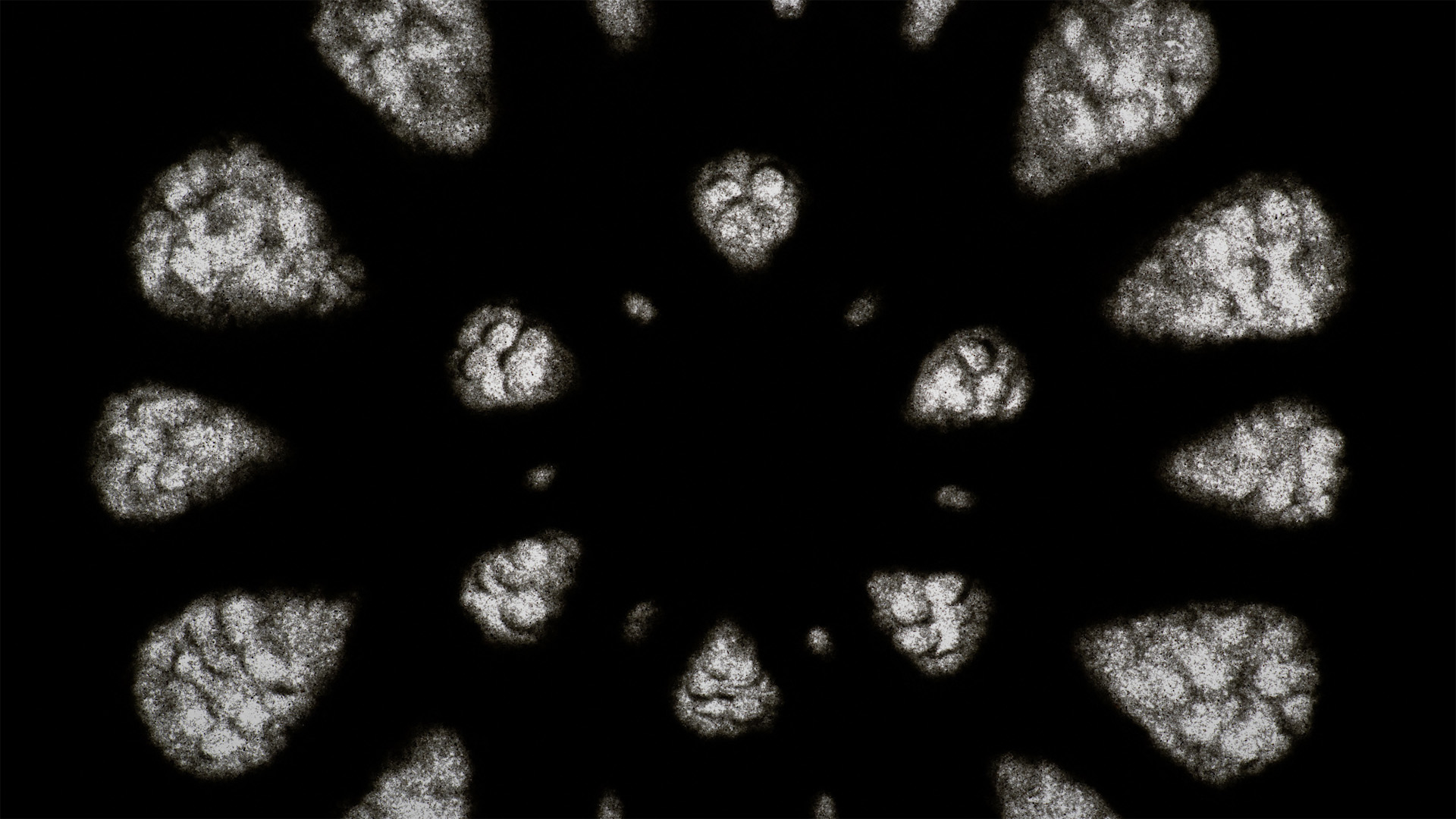 Karanlığa Dokunmak görsel 2