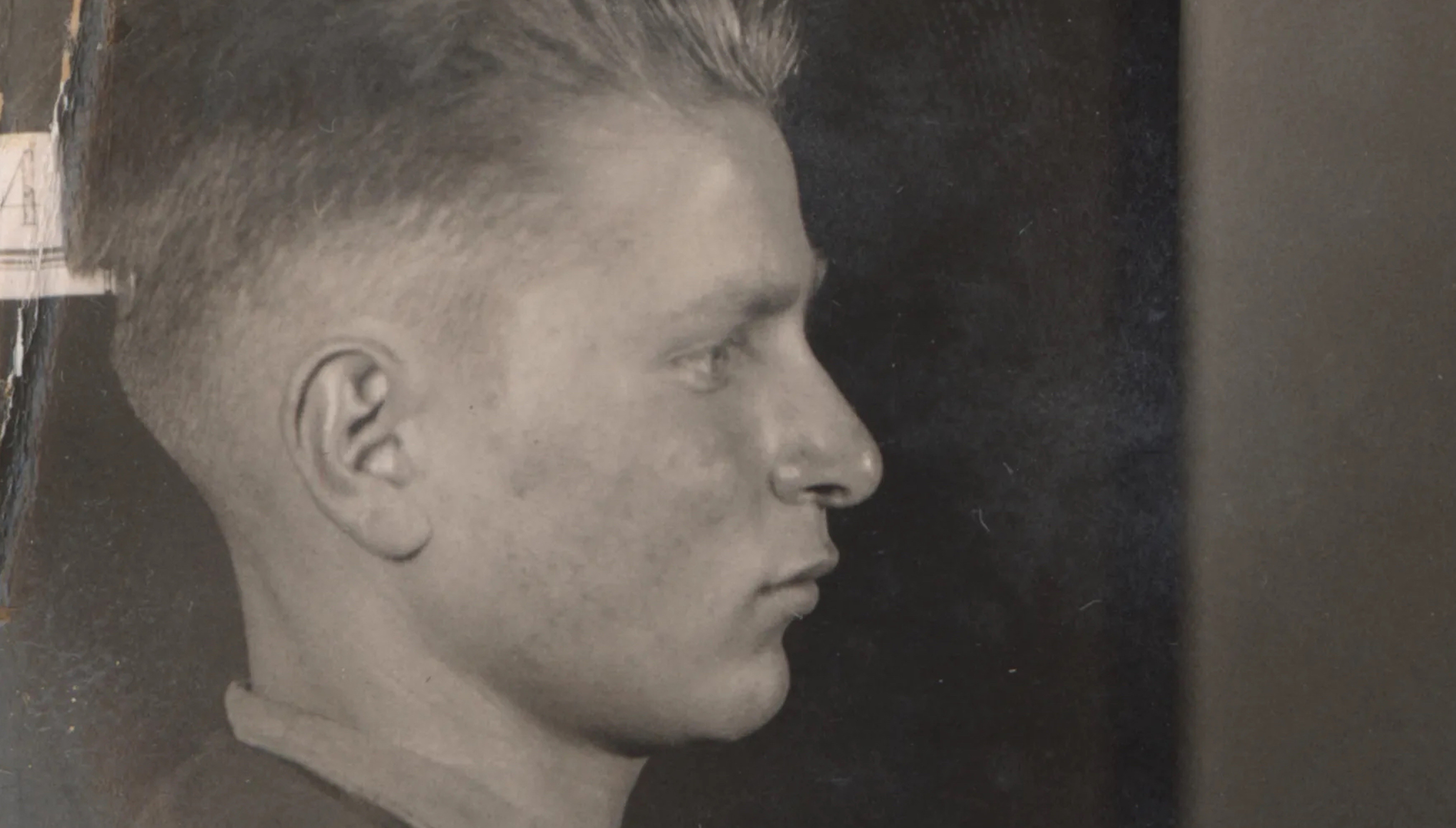48 görsel 2