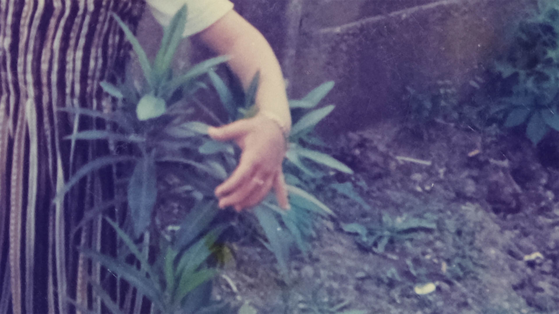 Nostaljik Olmayan Gelecek2