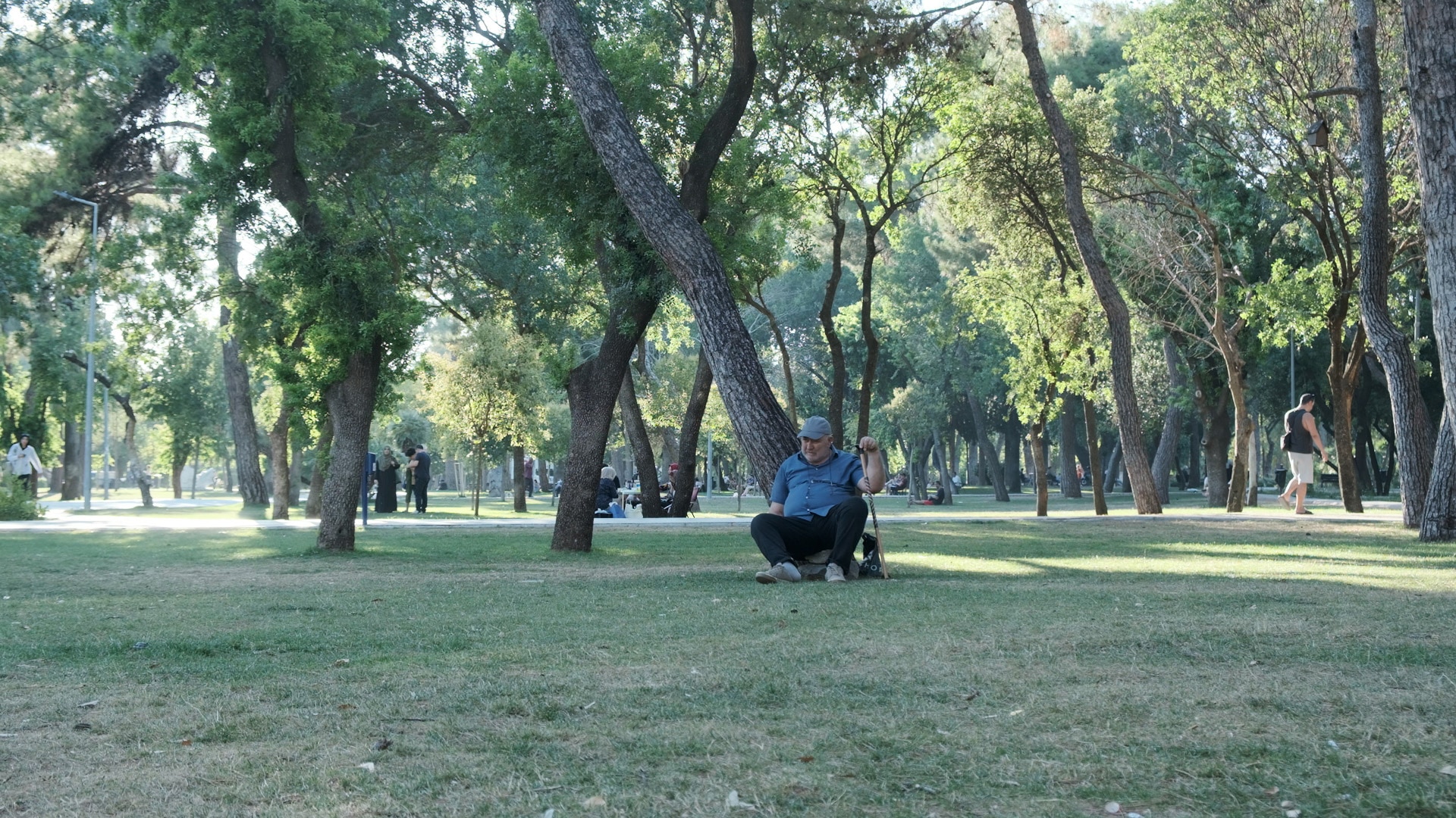 Günler Uzun, Yollar Kısa görsel 2