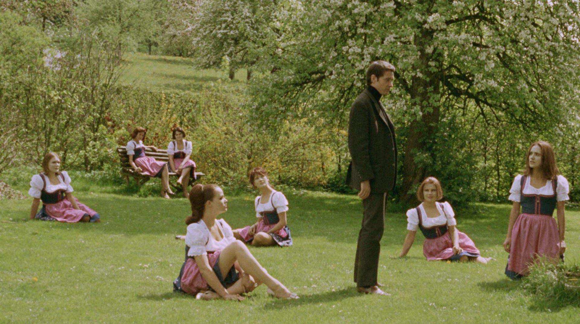 Dokuz Canlı Kedi görsel 3