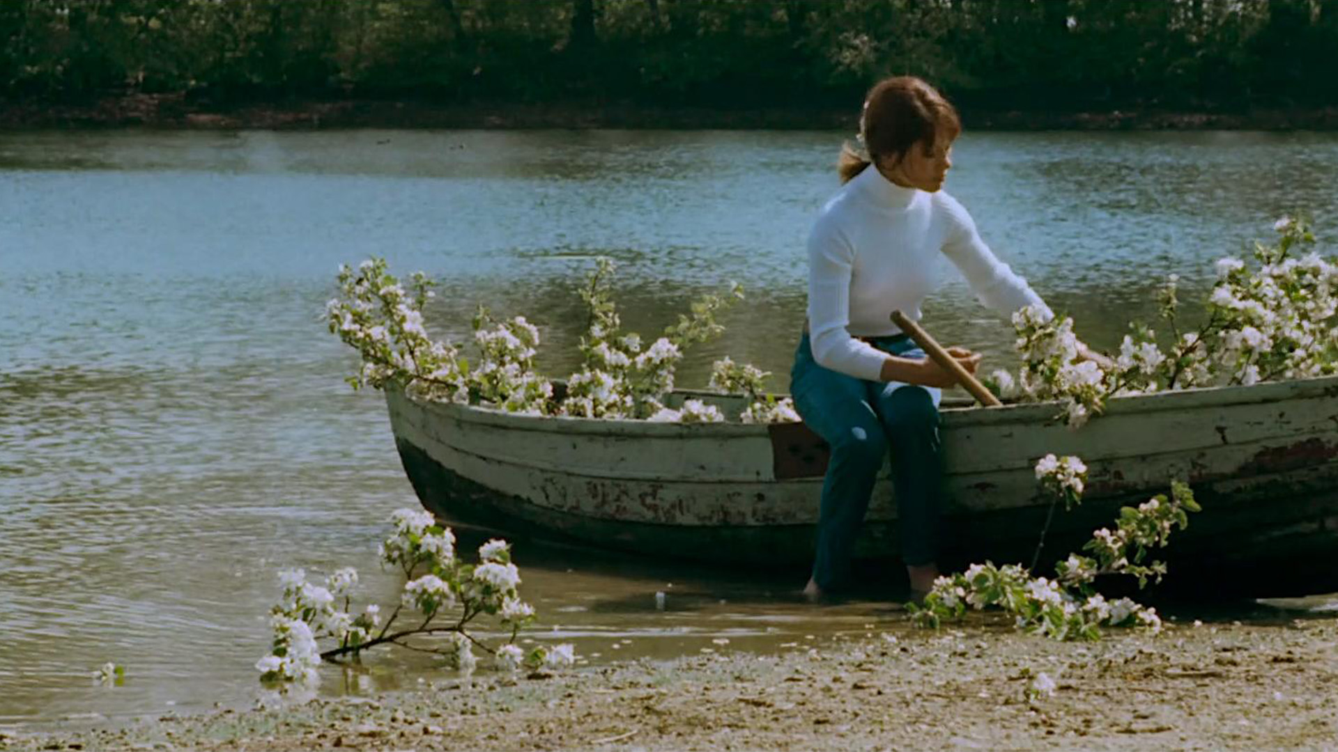 Dokuz Canlı Kedi görsel 2