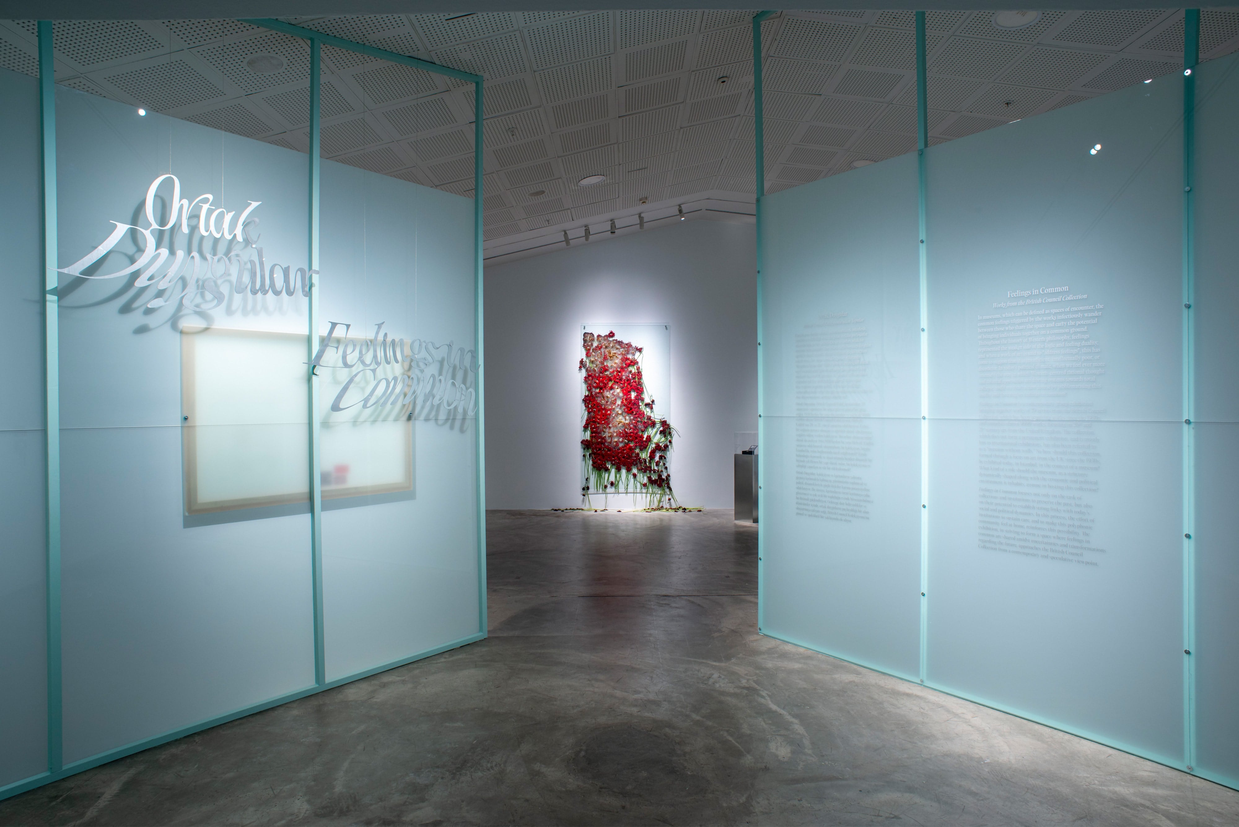 Ortak Duygular galeri 0