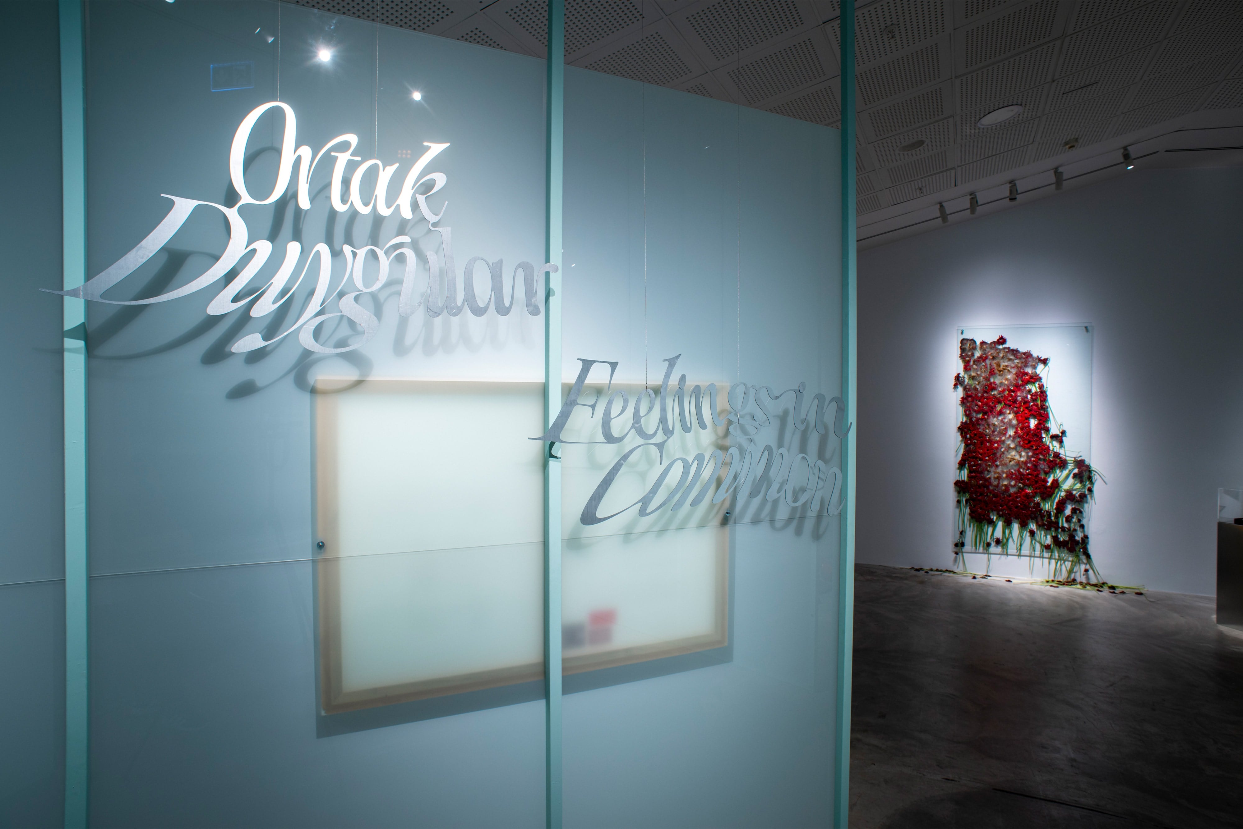 Ortak Duygular galeri 1