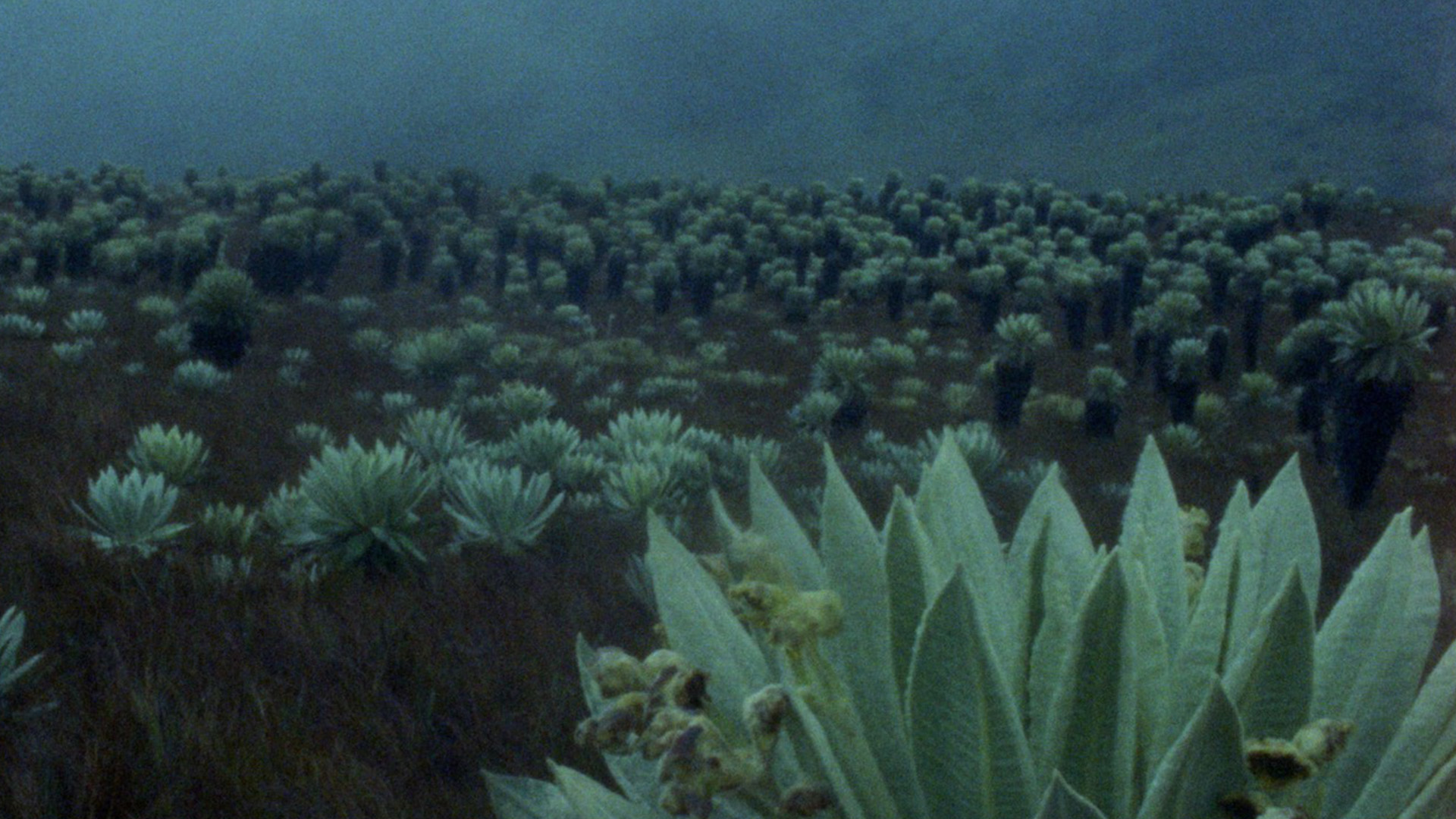 Hangi İnsan Hakları? Film Festivali13