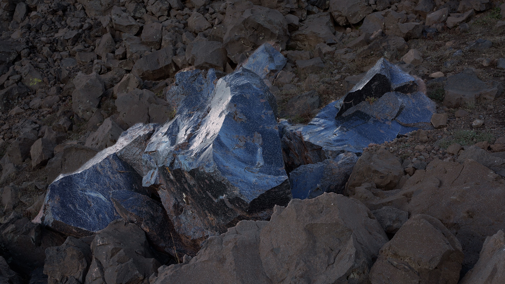  Åsa Jungnelius görsel 1