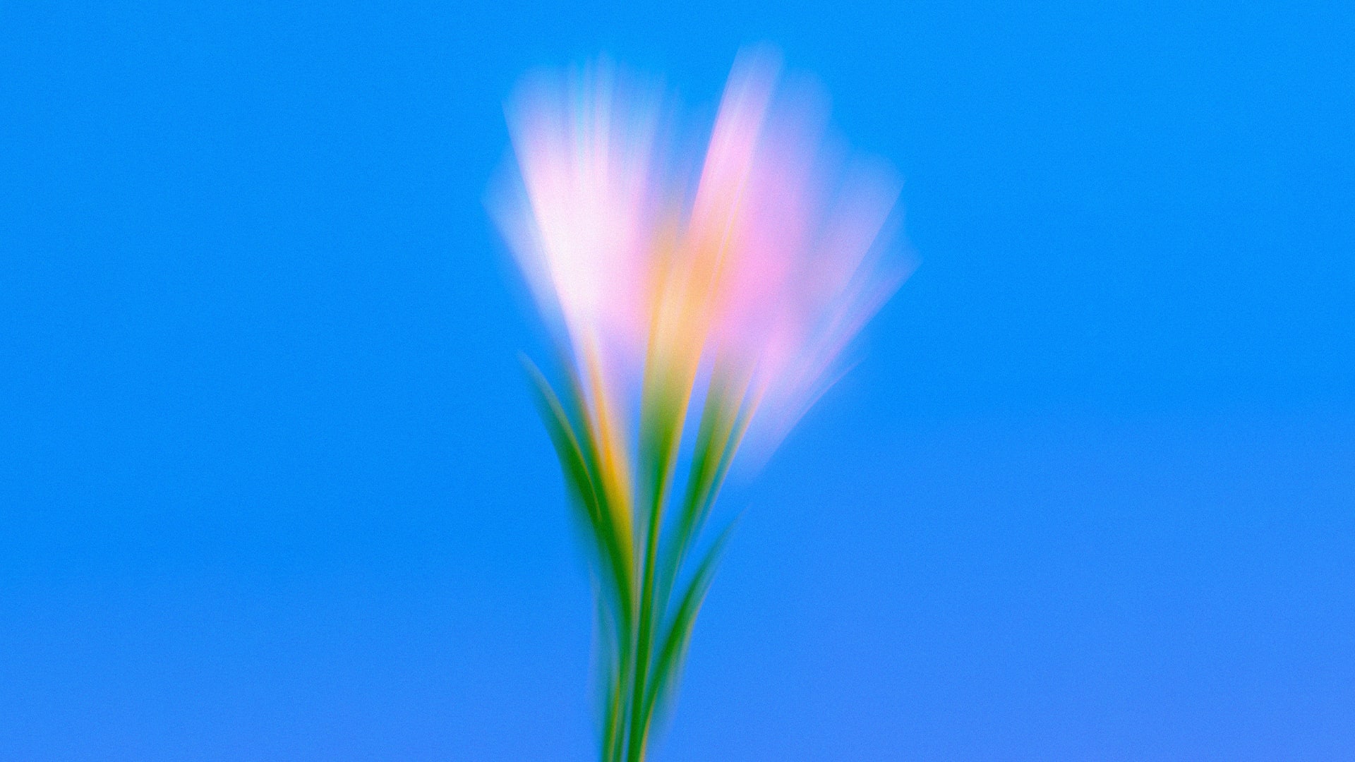 Suya Yansıyan Renkler görsel 3