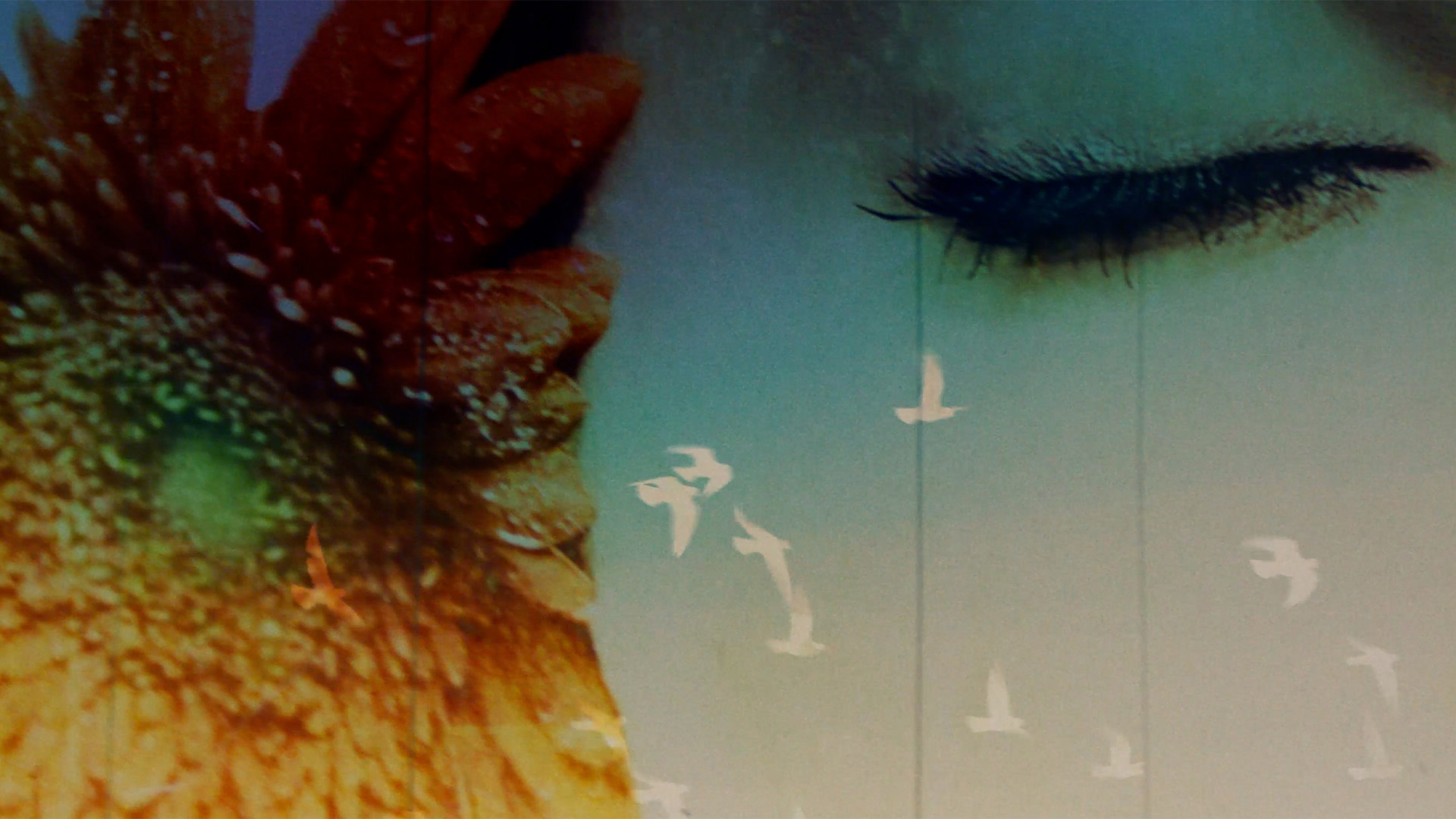 Cadı Üçlemesi 15+ görsel 4