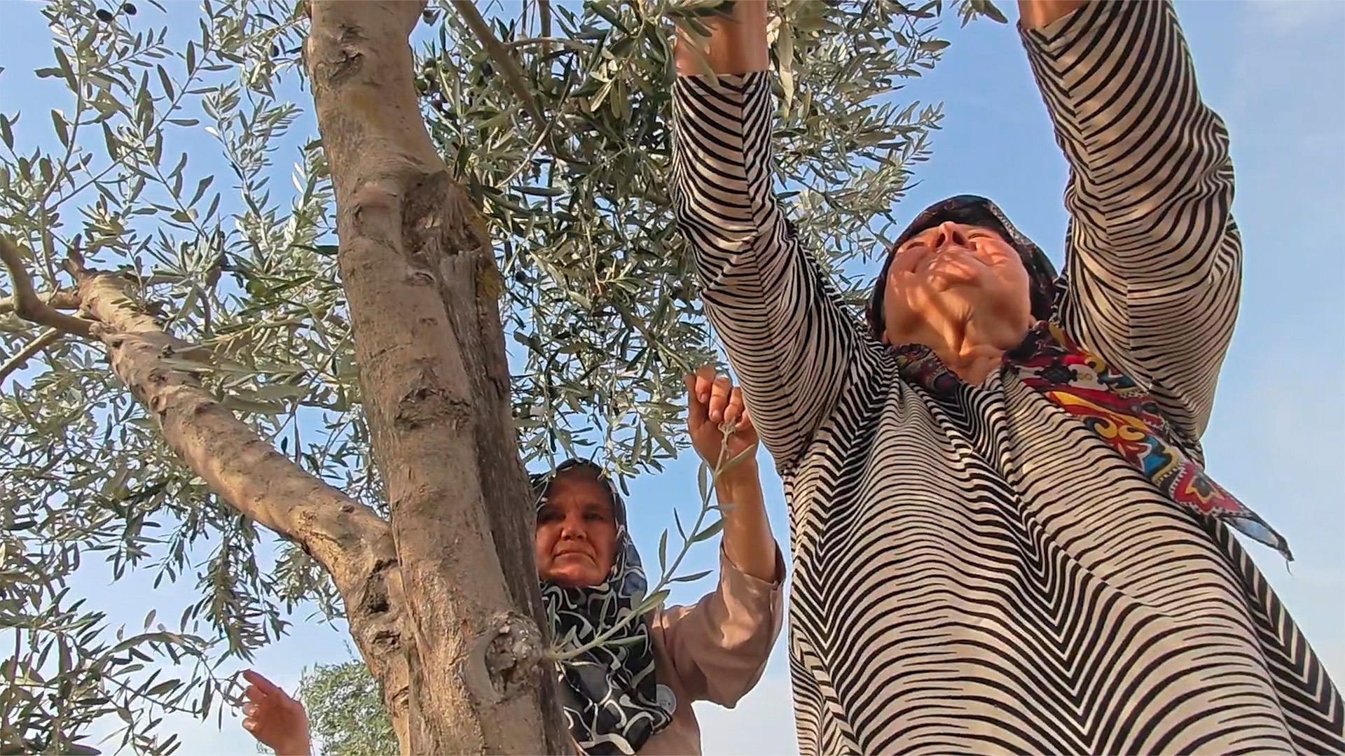 Elibirlik: Yırcalı Kadınlar görsel 4