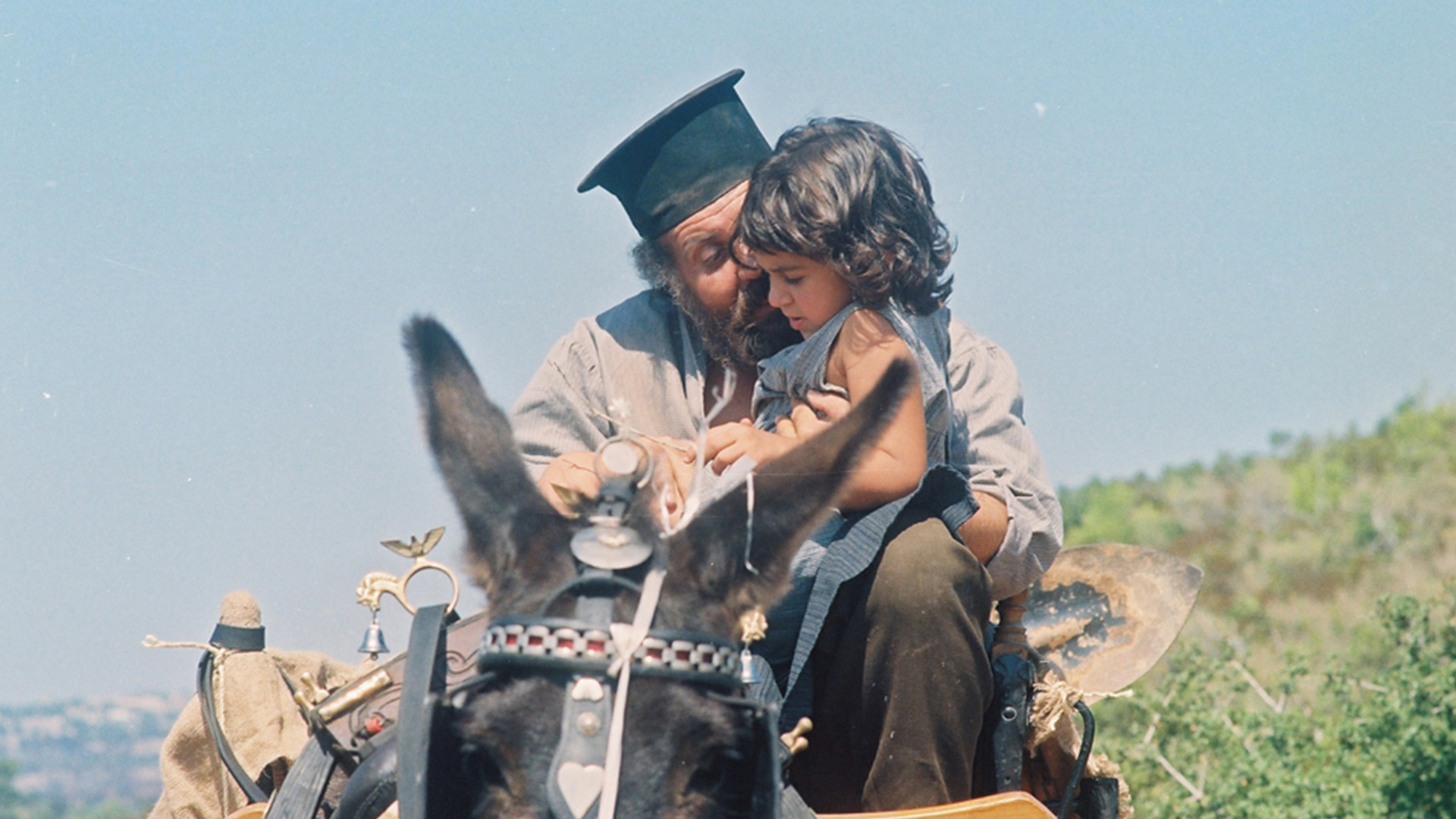 Fanuropita  görsel 1