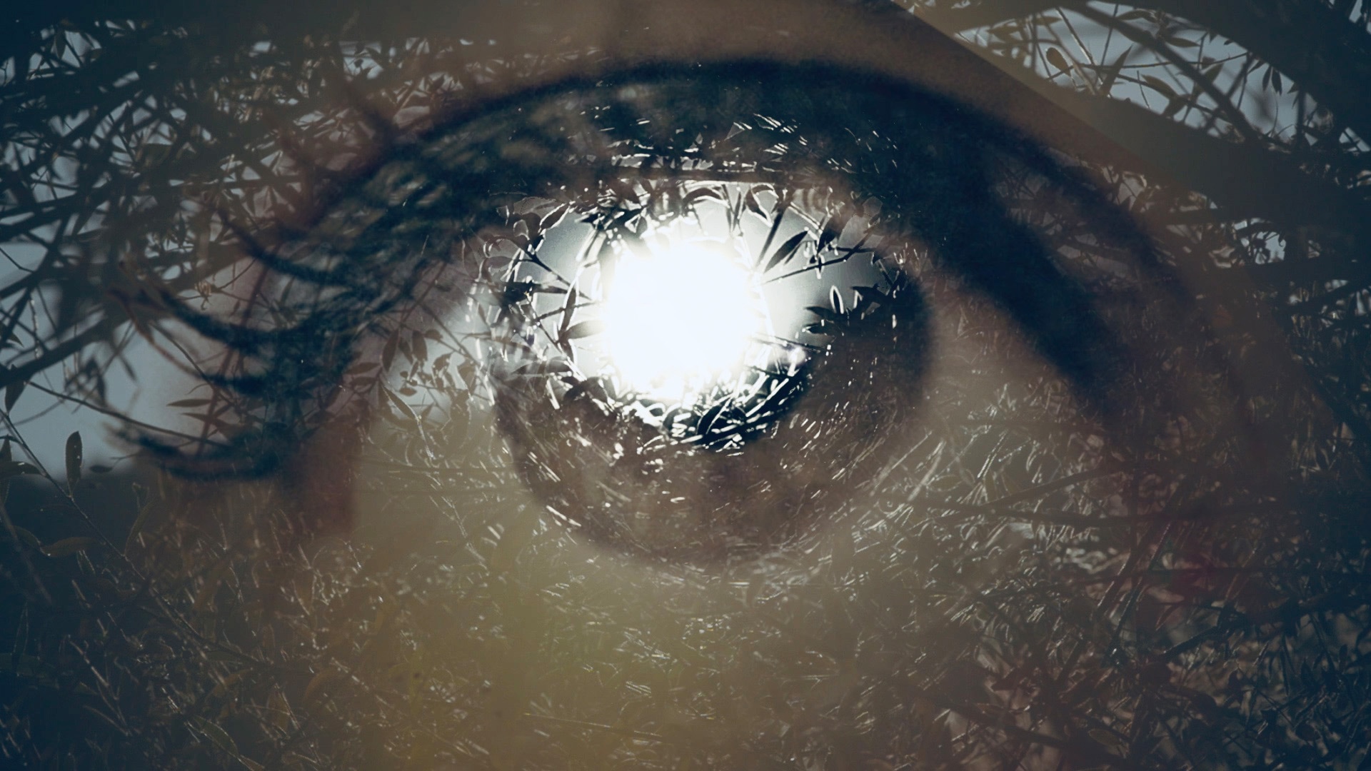 Cadı Üçlemesi 15+ görsel 1