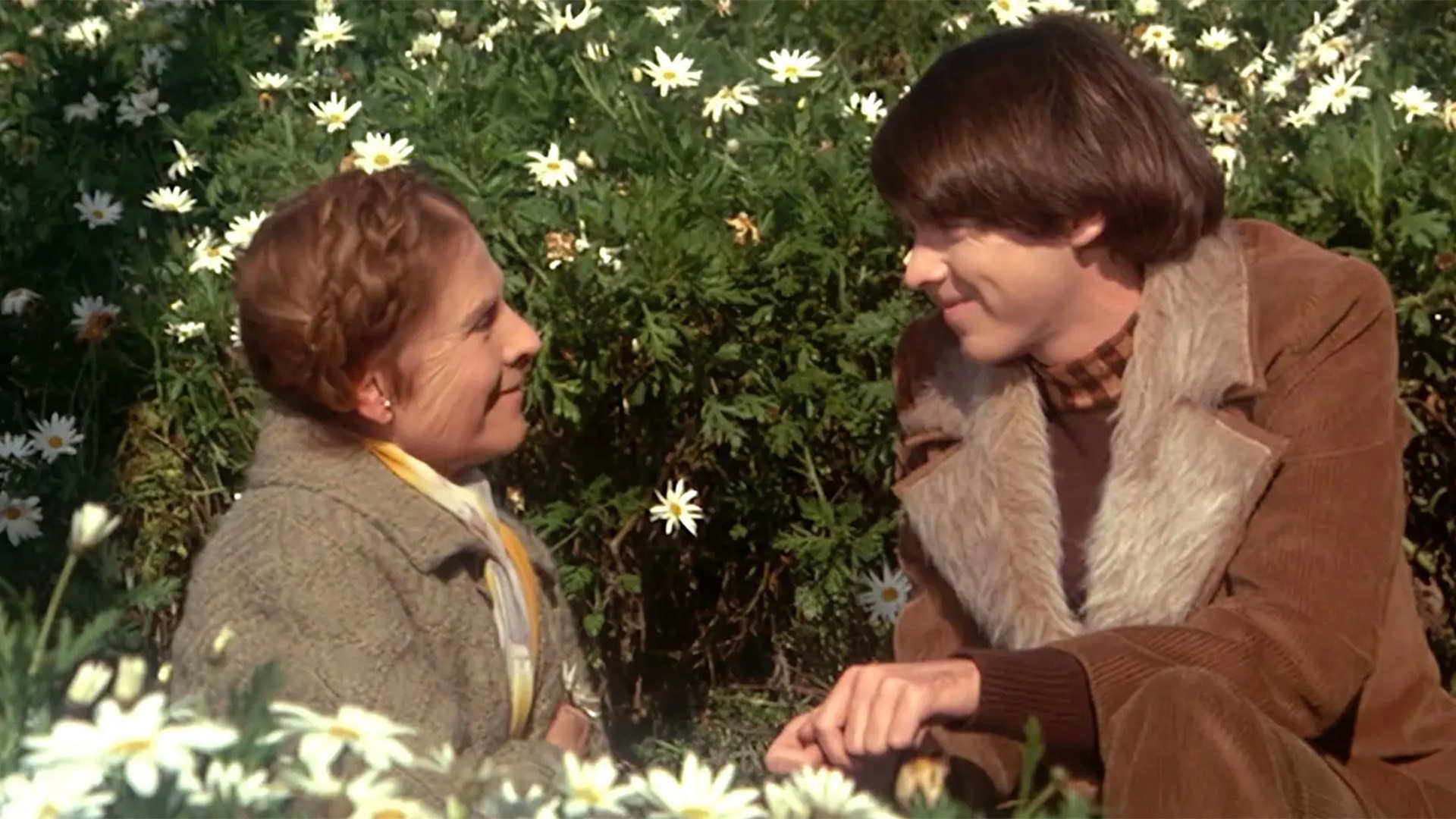 Harold ve Maude görsel 0