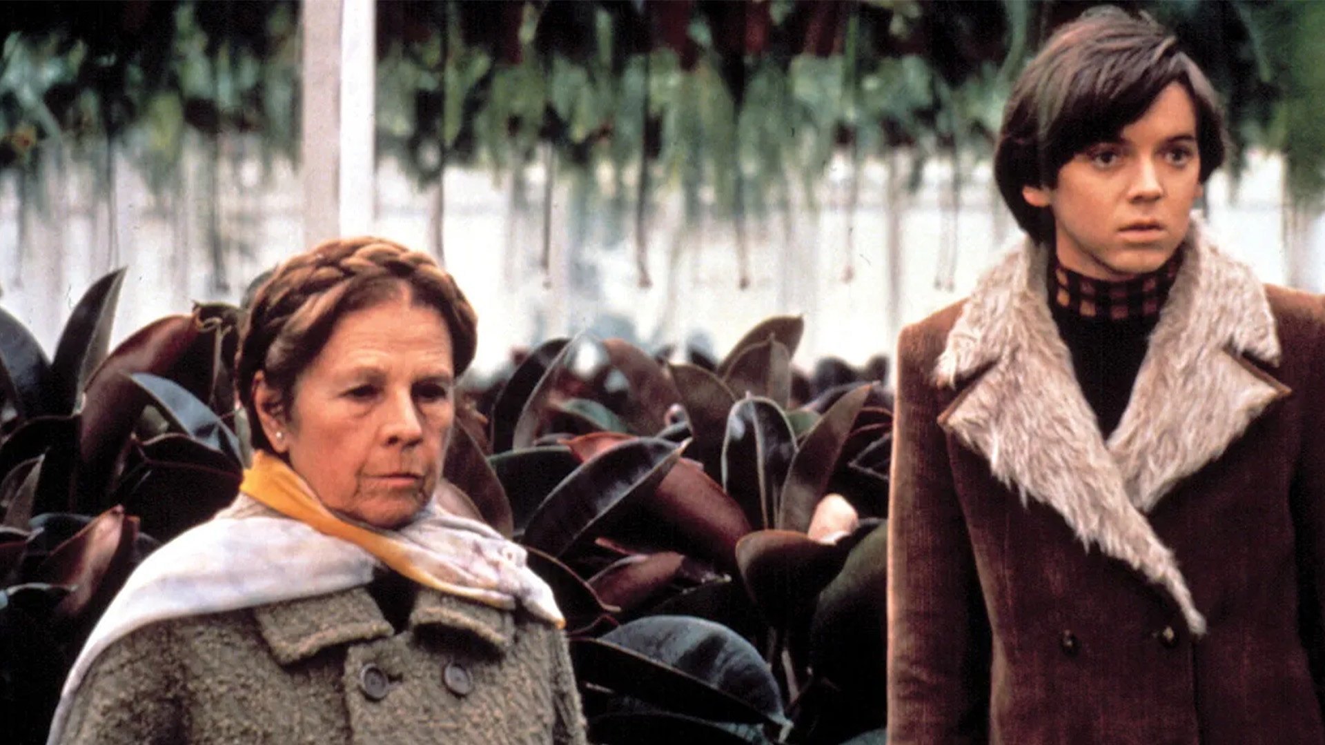 Harold ve Maude görsel 2