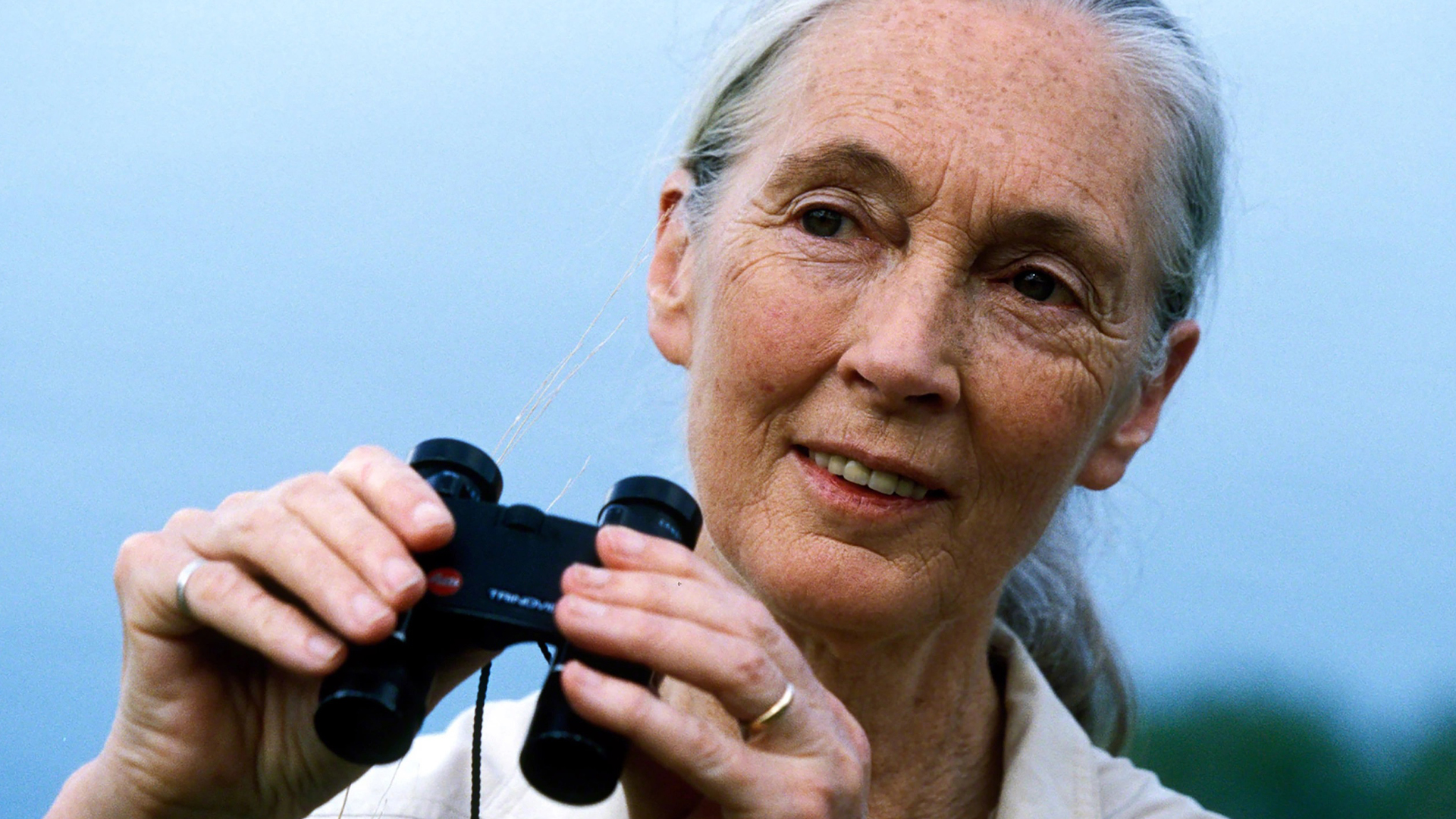Umuda Dair <br> Jane Goodall slide 1