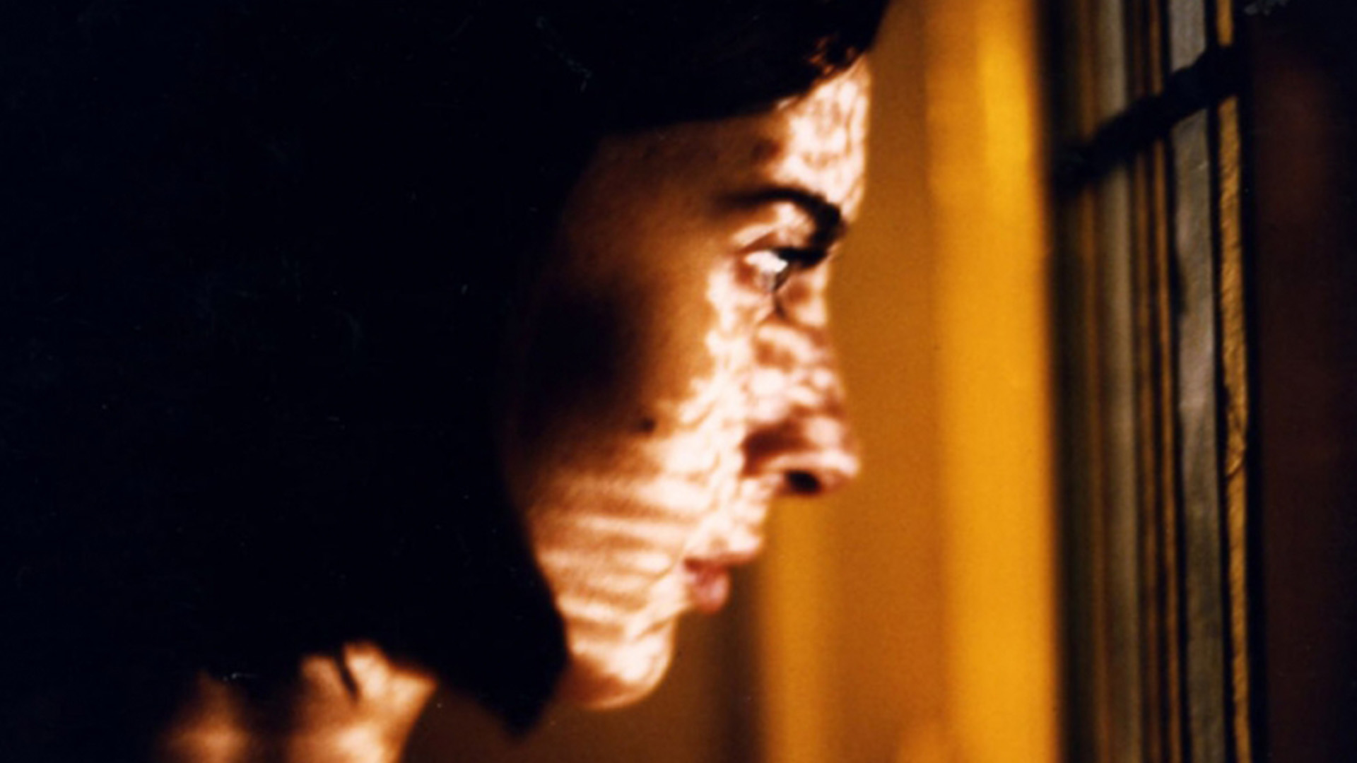 Kayıp Geceler  görsel 2