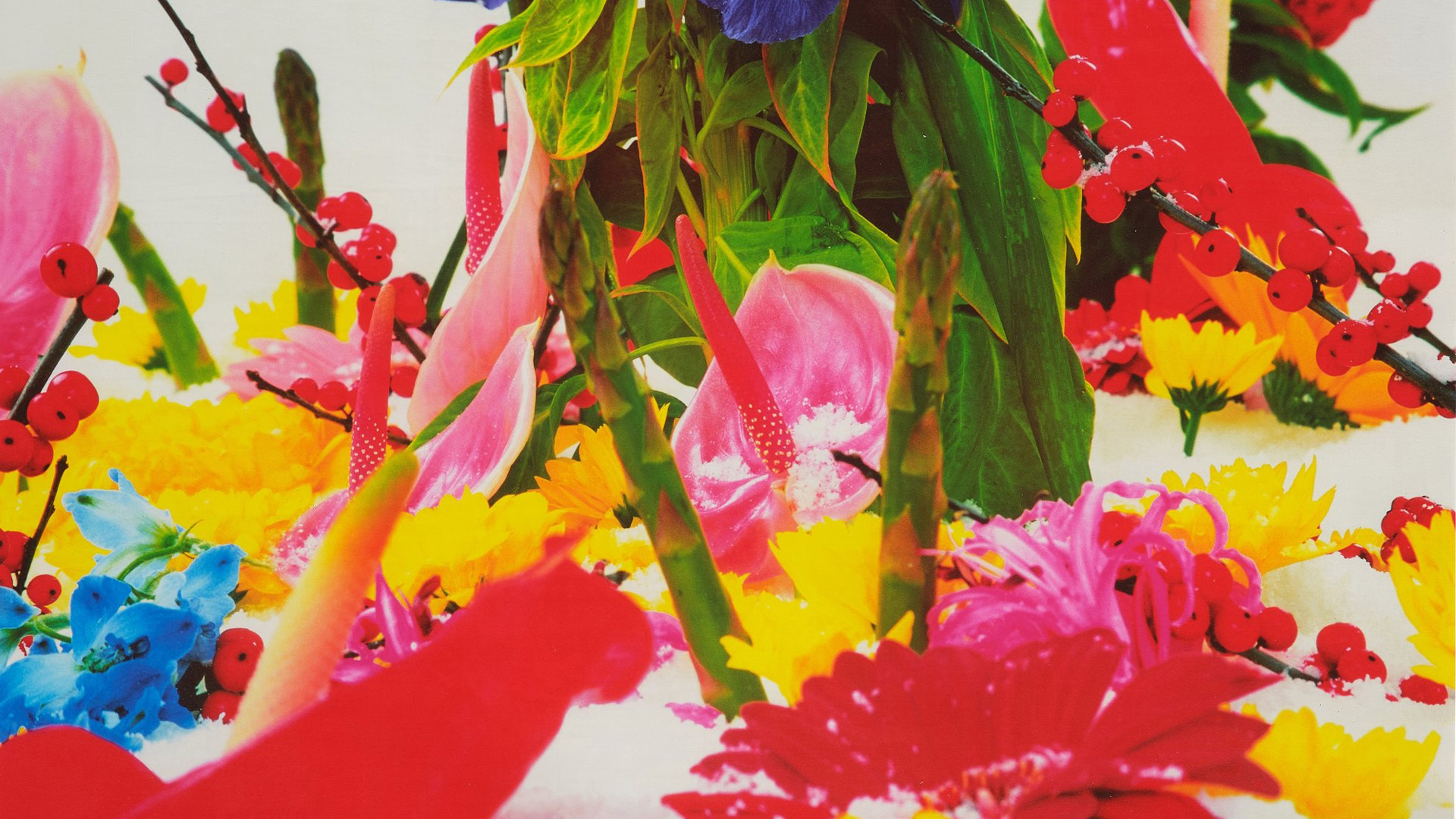 Ortak Duygular Çevrimiçi Sergi Turu  görsel 0