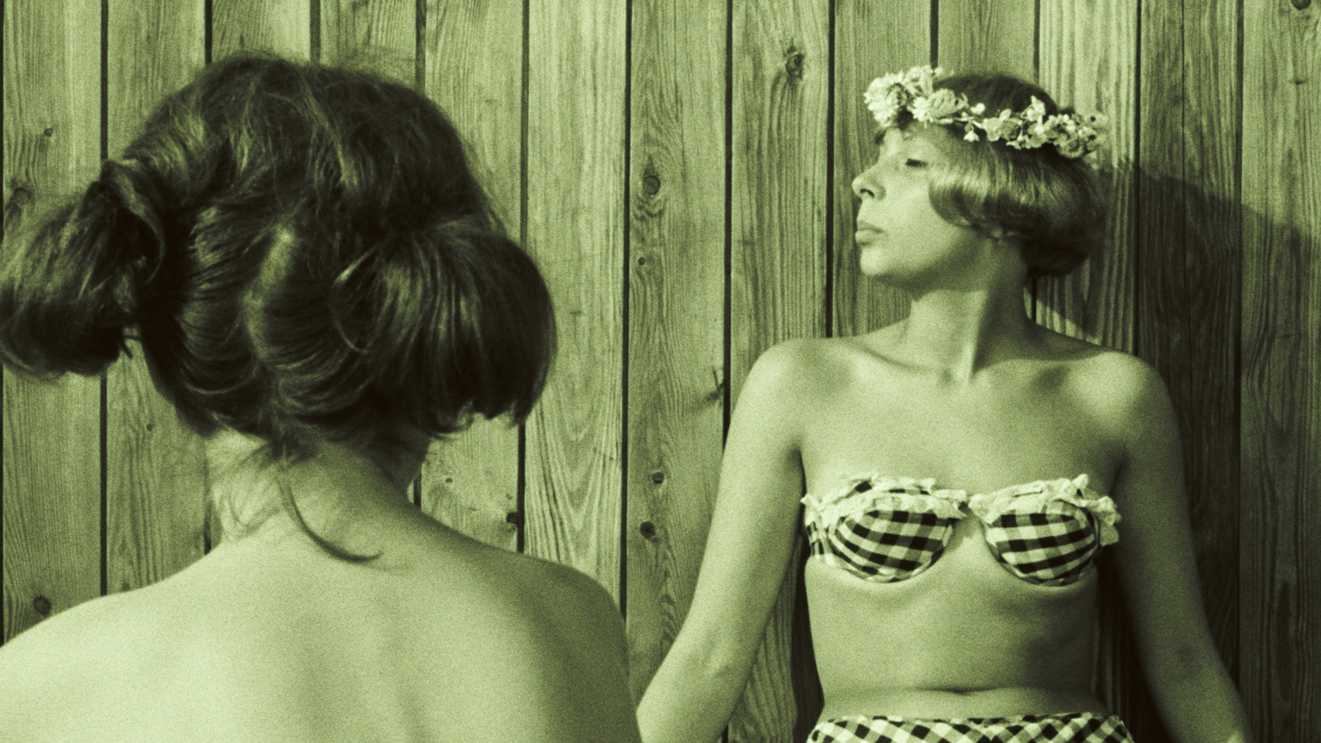 Papatyalar görsel 2