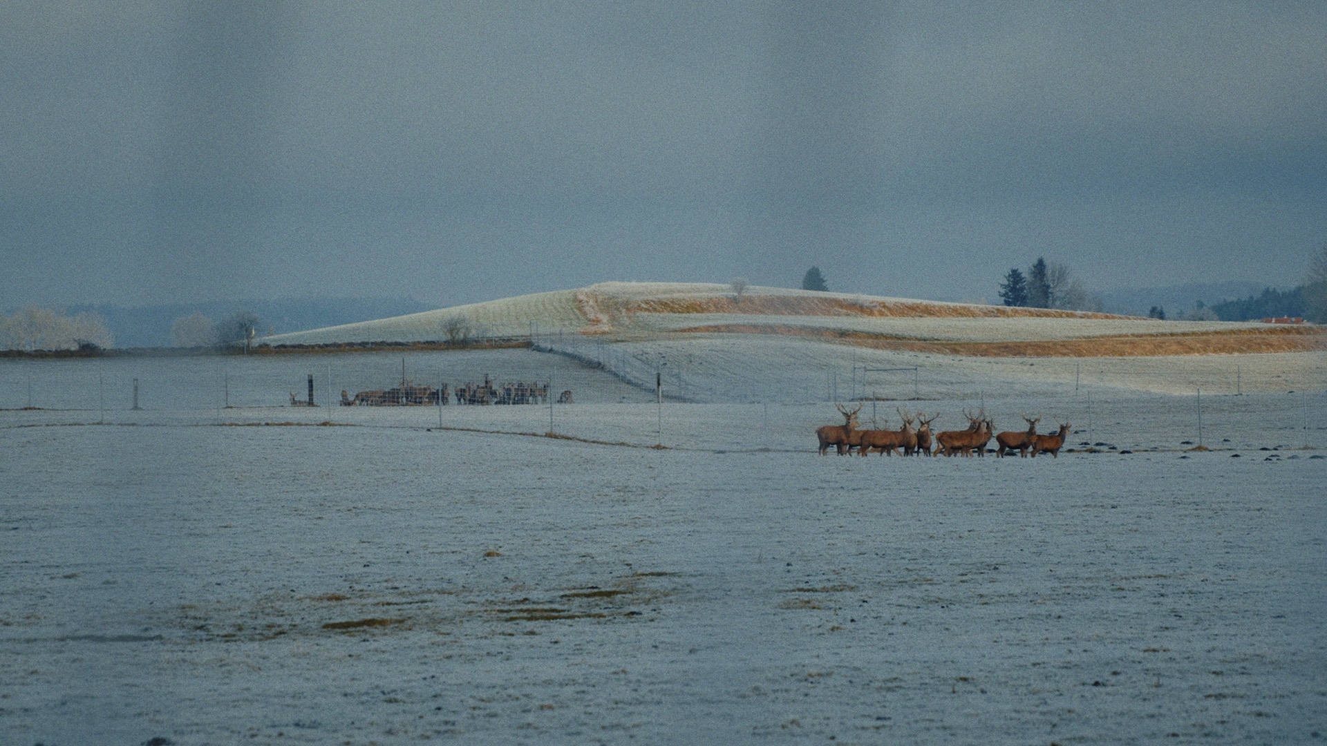 Sürgün Asla Bitmez görsel 0