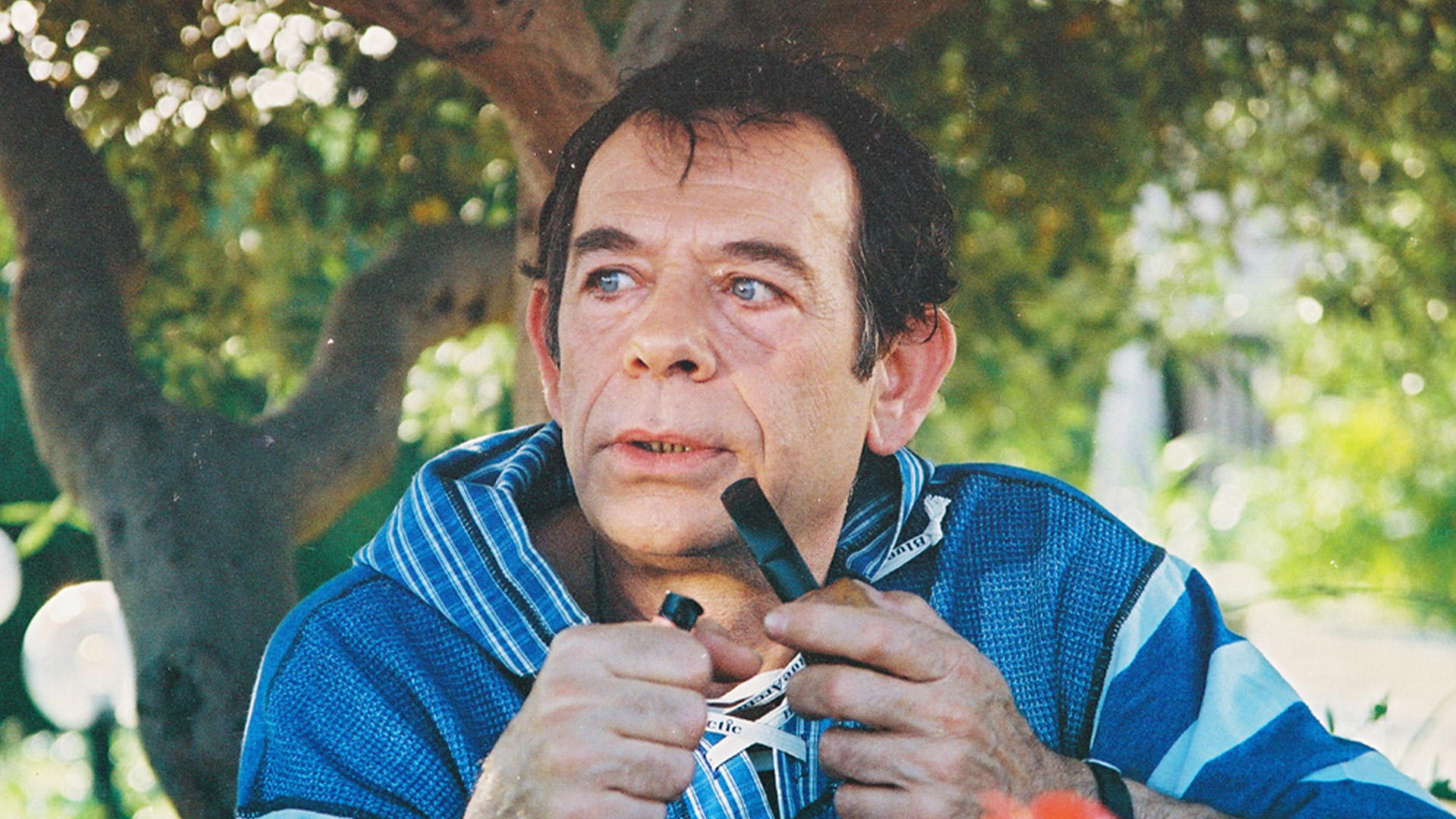 Wyoming'de Bir İbibik Kuşu  görsel 1