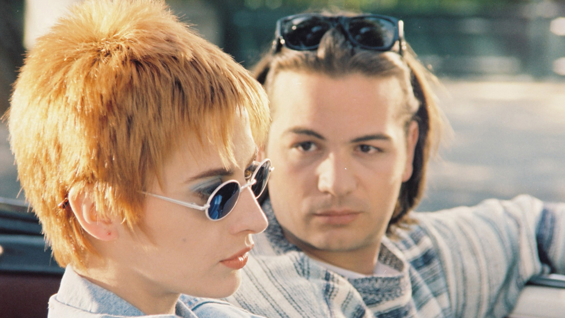 Wyoming'de Bir İbibik Kuşu  görsel 3