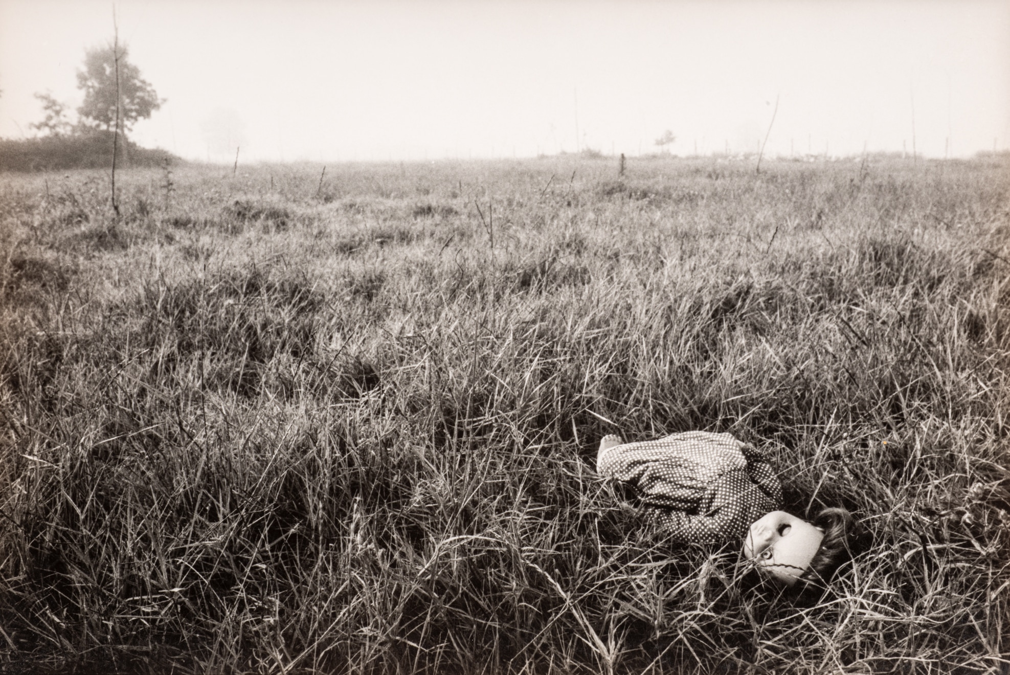 SAMİH RİFAT : YAZARIN ÖLÜMÜNDEN ÖNCE