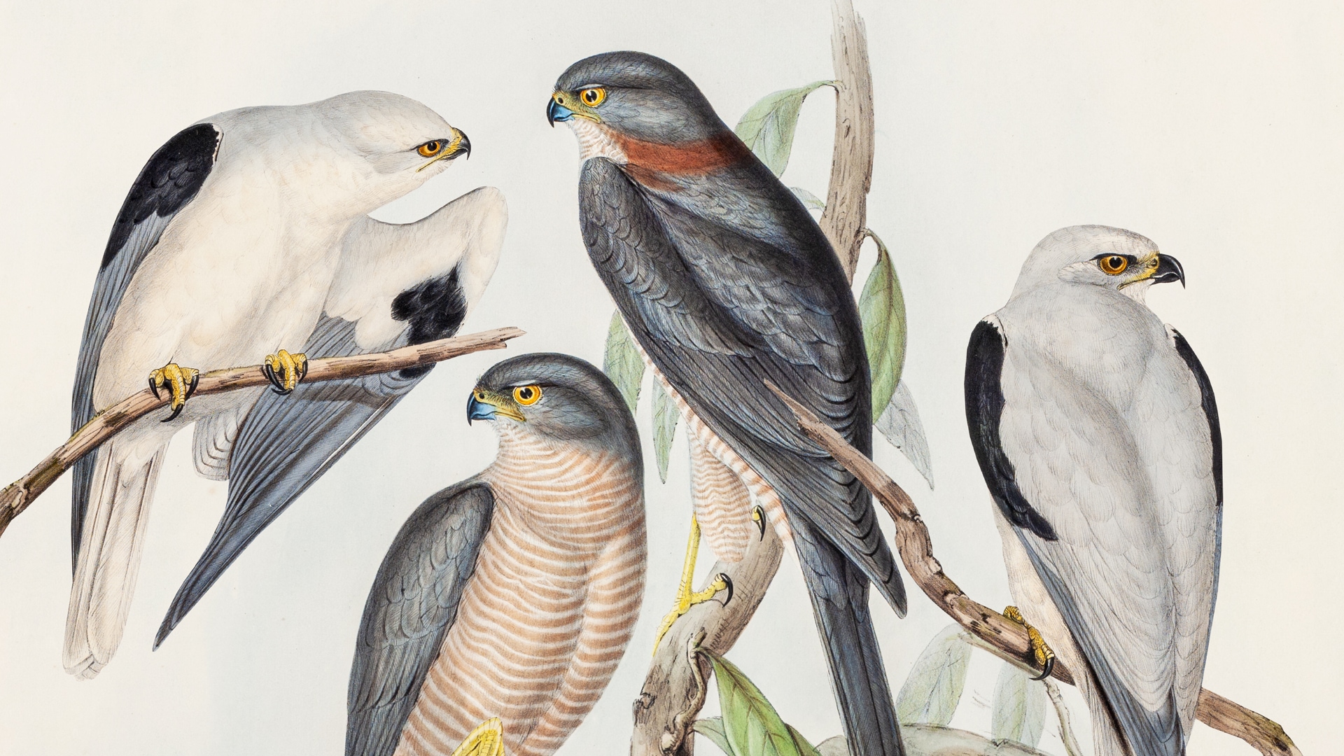 PERA Müzesi Basın Bültenleri