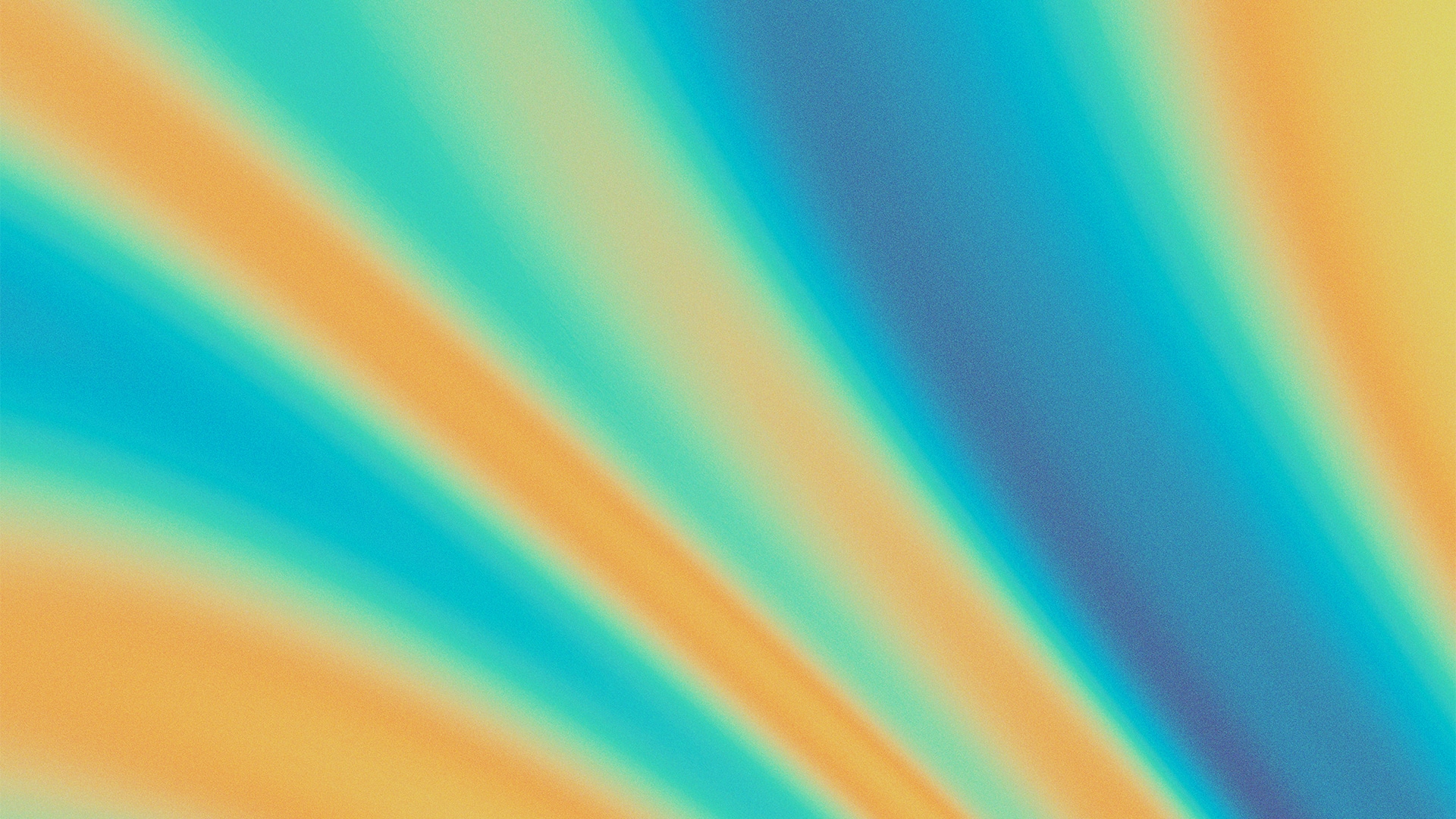 PERA Müzesi Basın Bültenleri